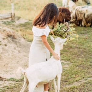 Geese Guarding Training Guide