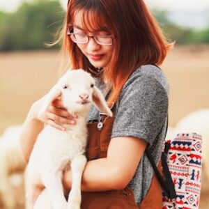 Garden Tool Set for Homesteaders