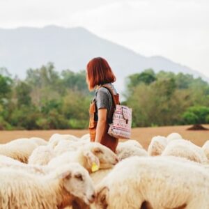 Farm Life Adventure Journal